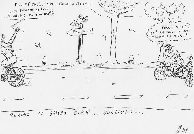 v7.la gamba gira.jpg